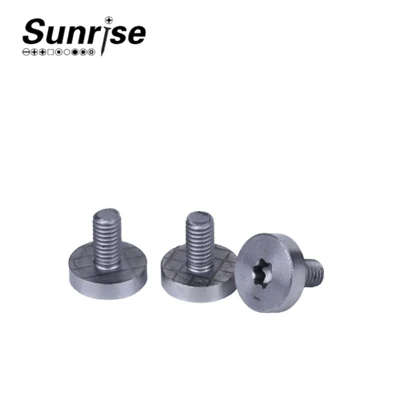 Καπάκι κεφαλής Torx Drive Machine Βίδες